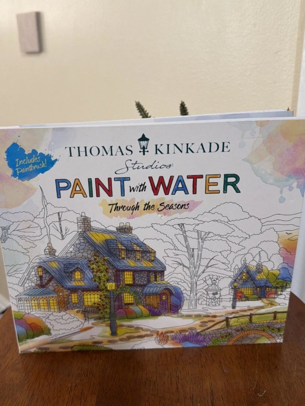 Thomas Kinkade Paint with Water: Through the Seasons - NEW